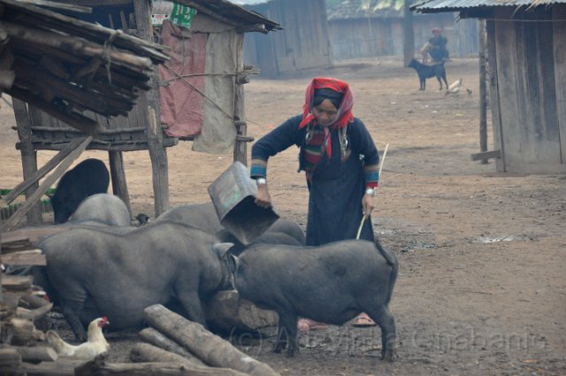 53 - Akha tribe.jpg